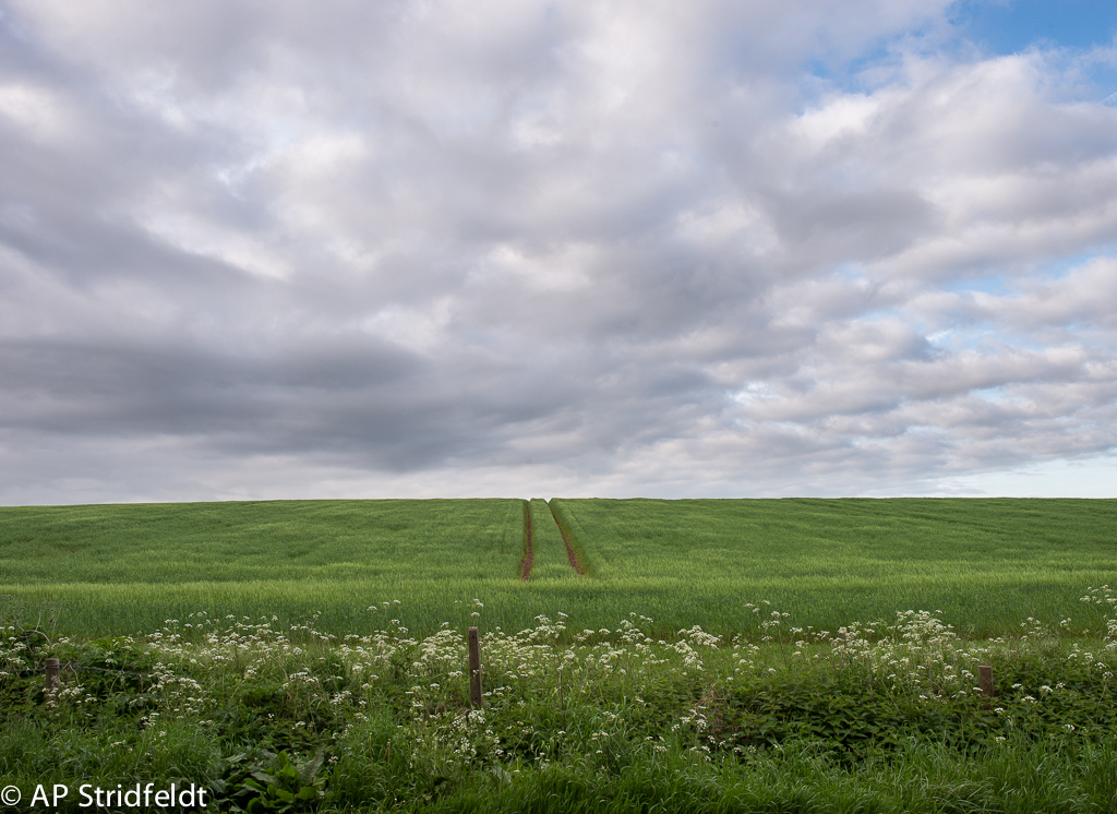 _DSC5311