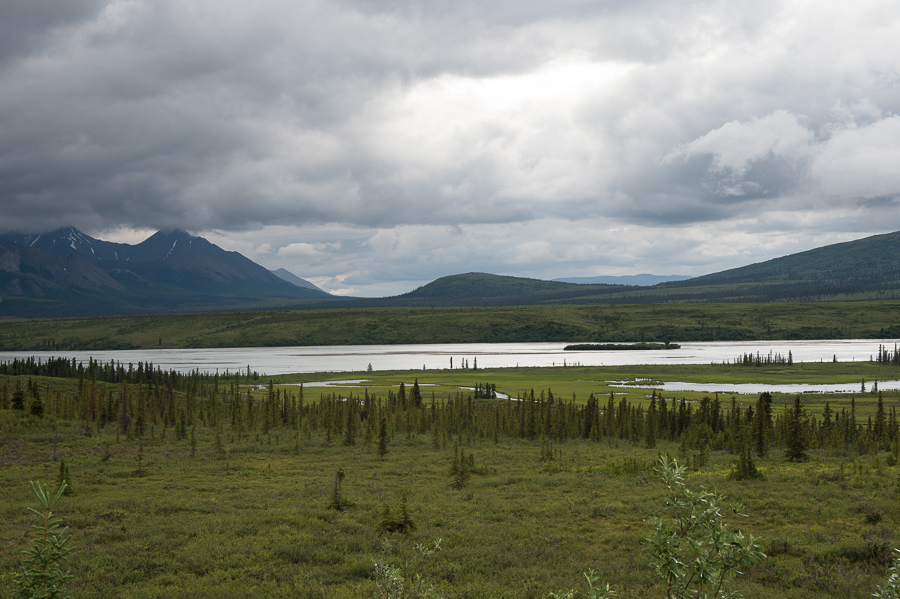 _DSC5007
