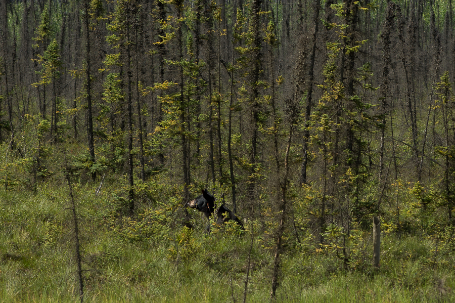 _DSC5028