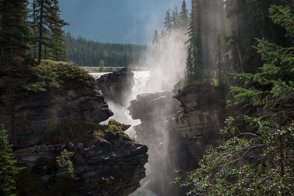 _DSC5500