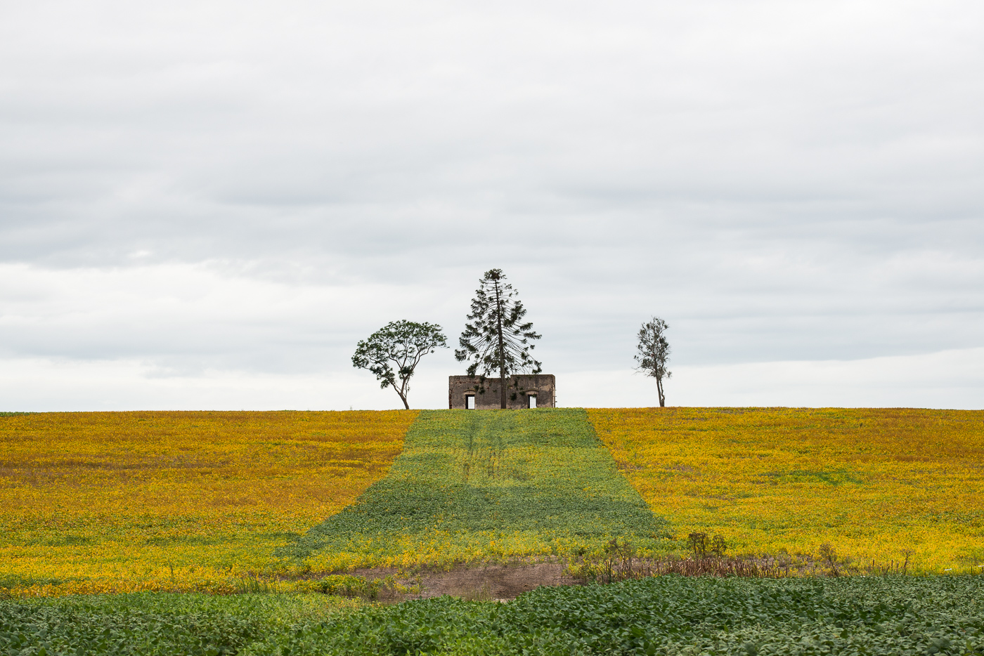 Uruguay